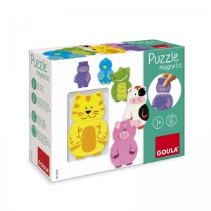 Puzzle Magnetico Intercambiabile