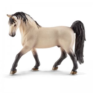 Giumenta Tennessee Walker