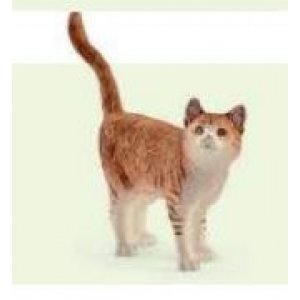 Gatto schleich