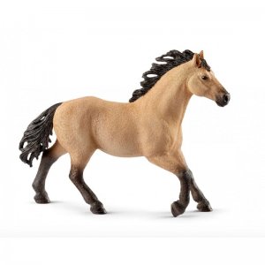 Stallone Quarter Horse