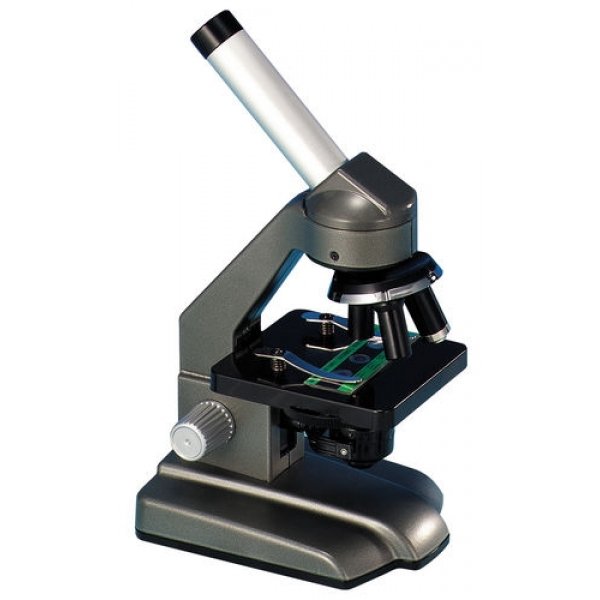 Microscopio 640 