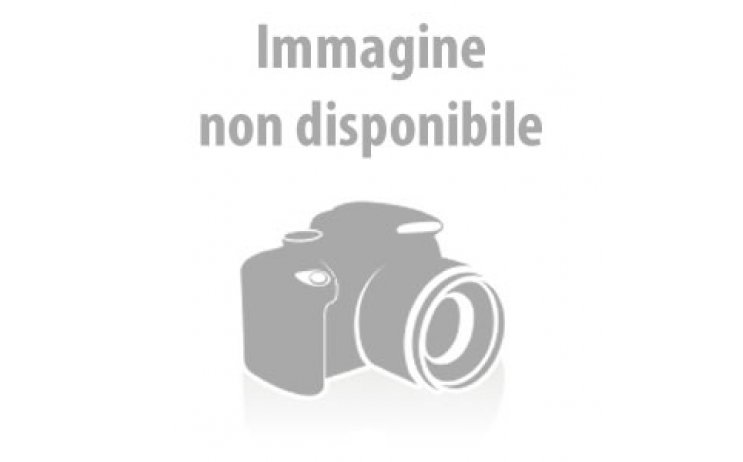 <h2><a href="/it/Banco-scuola-ABC-p470.html">Banco scuola ABC</a></h2> <strong> 69,00 &#8364;</strong>
